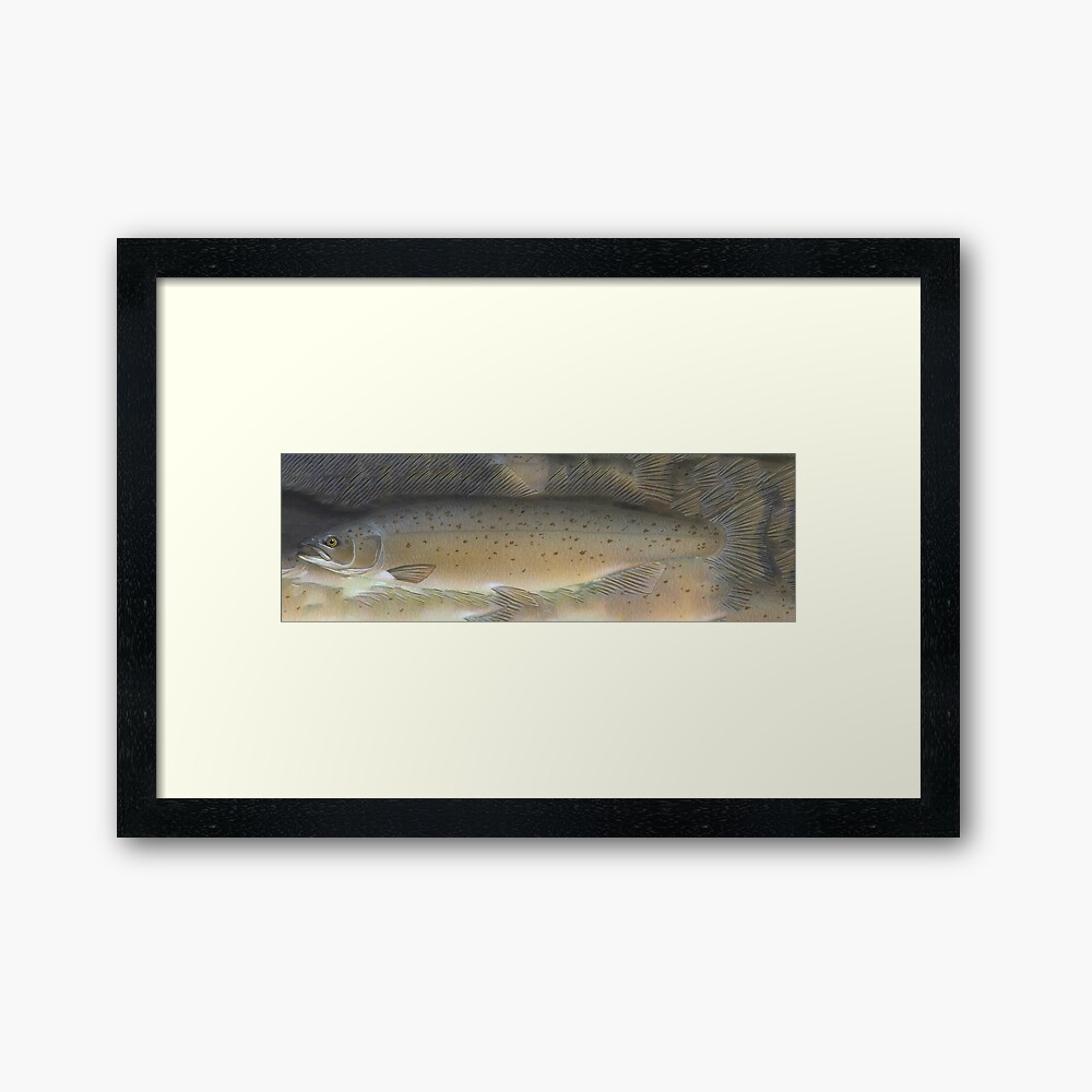 Salmon Baptiste Logo